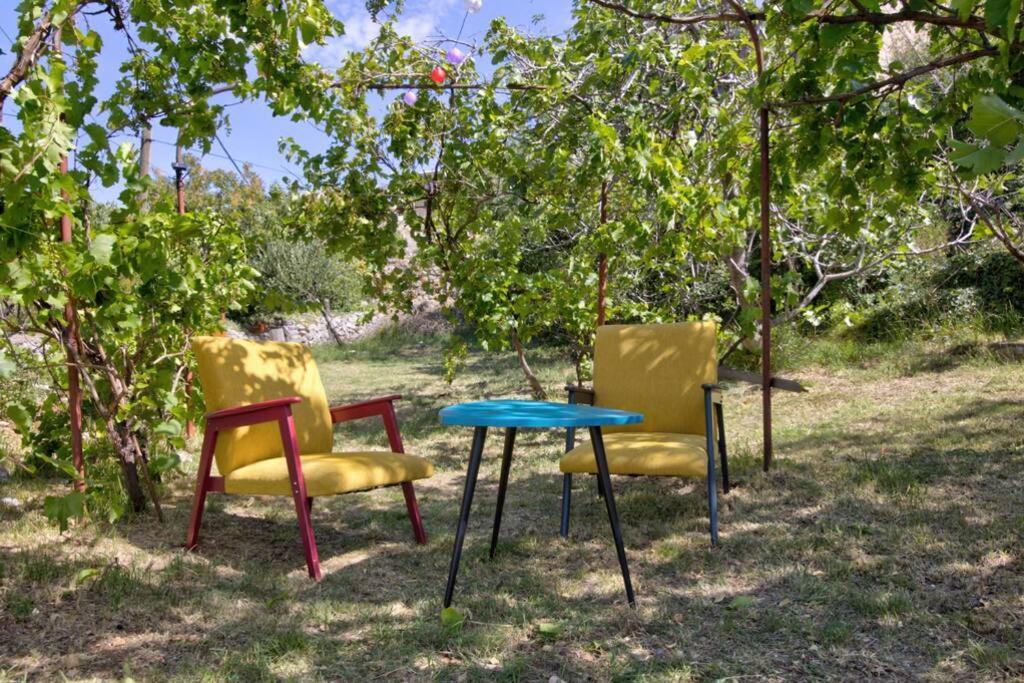 Vacation Home Korina Senj  Esterno foto